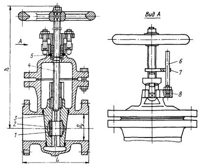      304764